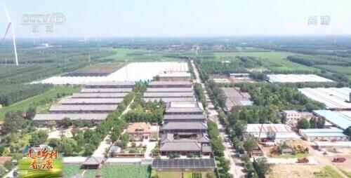 山东乐陵：户户住别墅 人人有收入