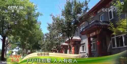 山东乐陵：户户住别墅 人人有收入