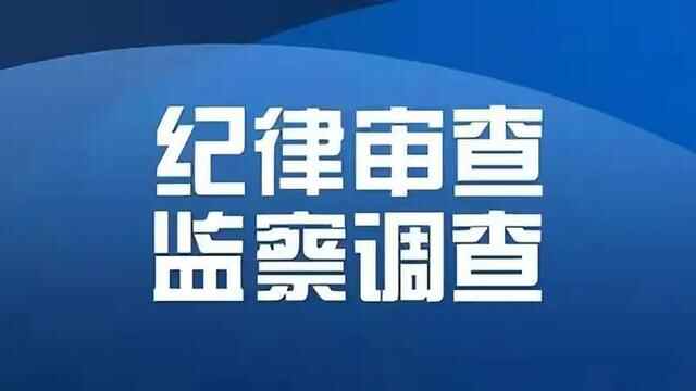 逊克县原副县长王自东主动投案接受纪律审查和监察调查