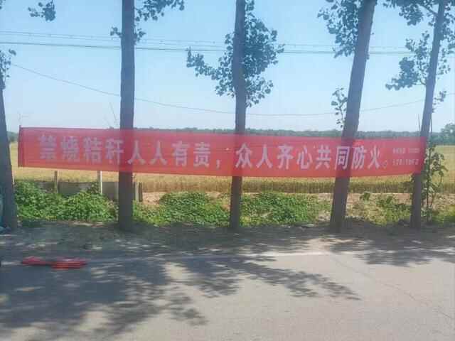 德州市宁津县长**镇人大：履职尽责做表率 秸秆禁烧显担当