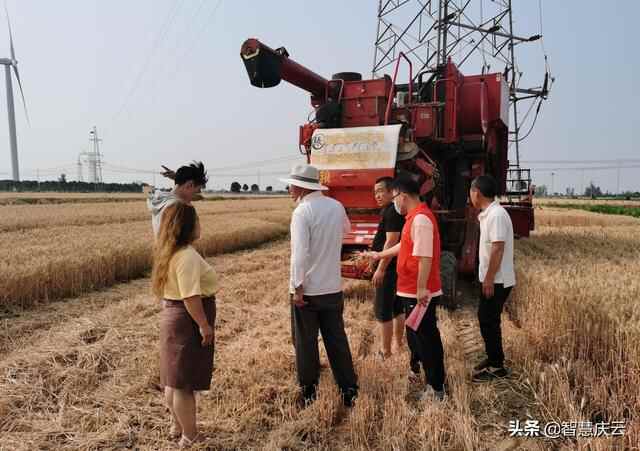 庆云县自然资源局走进田间地头，引导耕地种粮