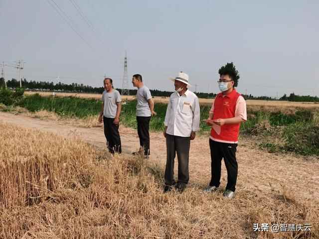 庆云县自然资源局走进田间地头，引导耕地种粮