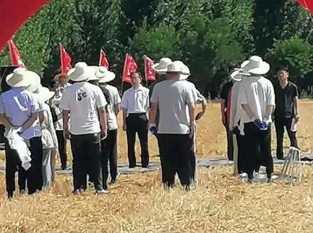 「科技兴农」德州市齐河县焦庙镇：全链条节粮减损增加“无形粮田”