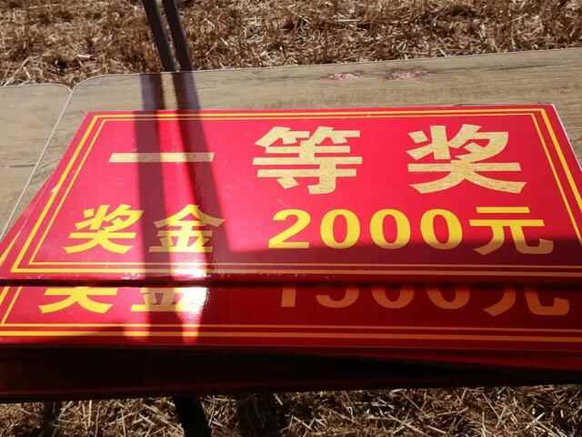 「科技兴农」德州市齐河县焦庙镇：全链条节粮减损增加“无形粮田”