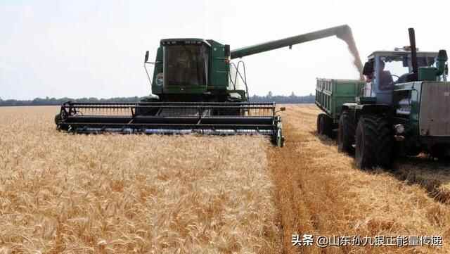 乐陵市孔镇镇：党建共同体助力“吨半粮”生产能力建设