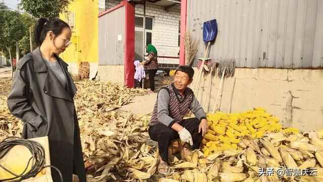 庆云县崔口镇：抓好抢收抢种，确保粮食颗粒归仓