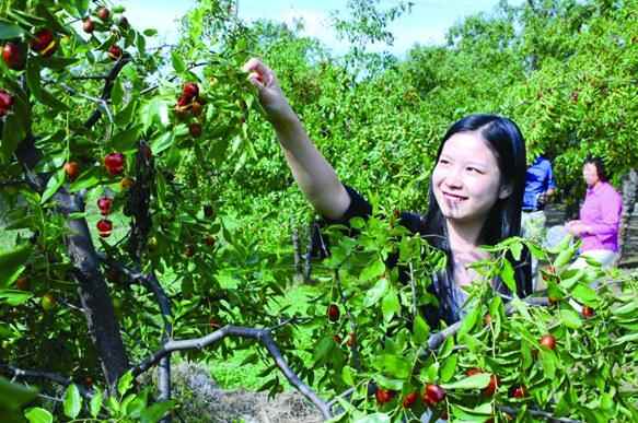 这些乐陵特产，你肯定爱不释手