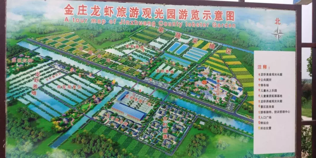 德州陵城开启夜场狂欢：第三届龙虾节嗨吃起来！