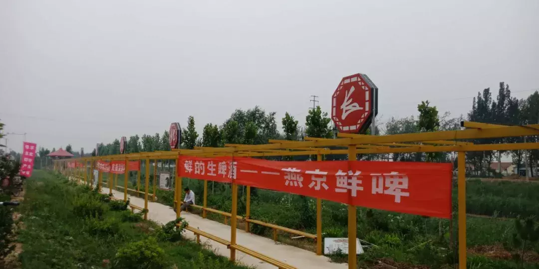 德州陵城开启夜场狂欢：第三届龙虾节嗨吃起来！