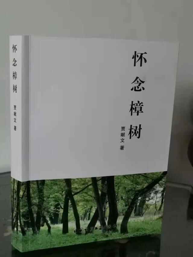 中华美文丨贾献文散文：闲话美食