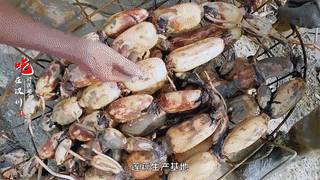 去汉川必打卡的十二道美食，你吃过几样？