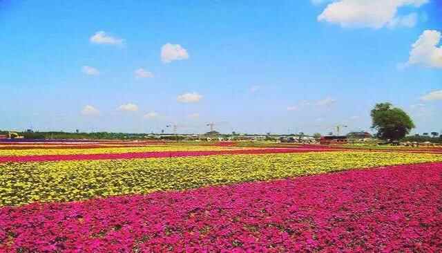 「德州旅游」山东景点推荐——齐河中国驿非遗小镇+济南海宁皮革城
