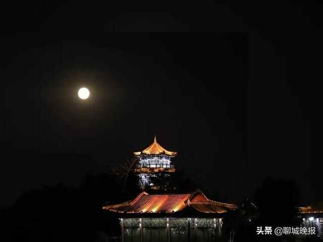 聊城歌手赵照央视中秋晚会唱《乡愁》