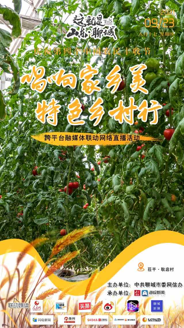 丰收的聊城，正在直播