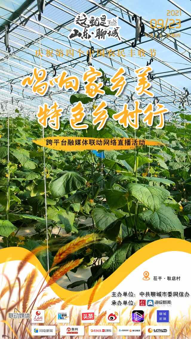 丰收的聊城，正在直播