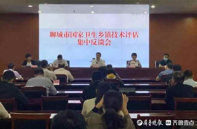 聊城市国家卫生乡镇技术评估集中反馈会召开