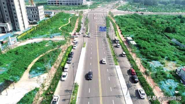 聊城：新时代政和景明 新政策聿骏有声