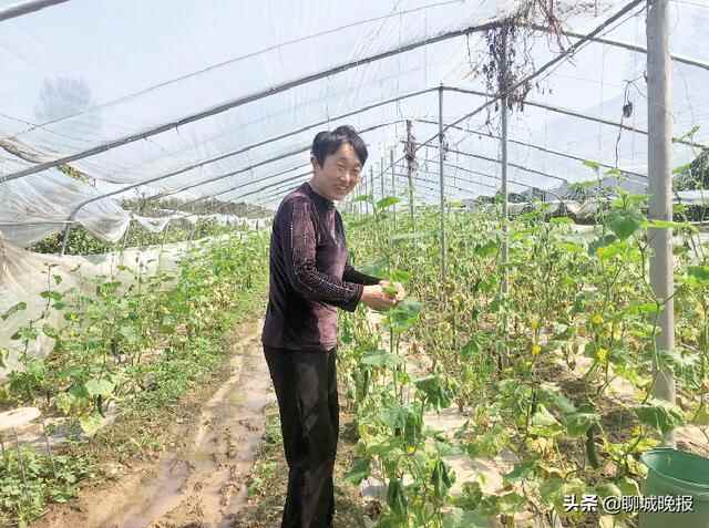 聊城：新时代政和景明 新政策聿骏有声