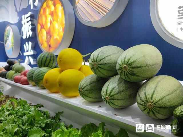 聚焦“全面小康 奋进山东”聊城专场：非遗、美食、特产……聊城展厅惊艳亮相