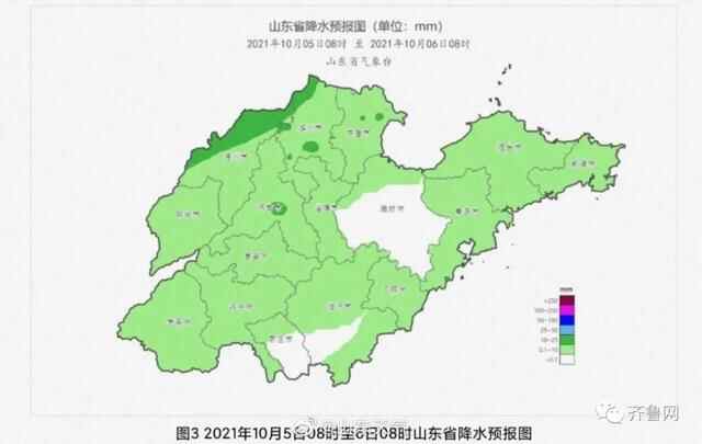 聊城德州已开下！山东发布暴雨蓝色预**，这些地方将有大到暴雨局部大暴雨