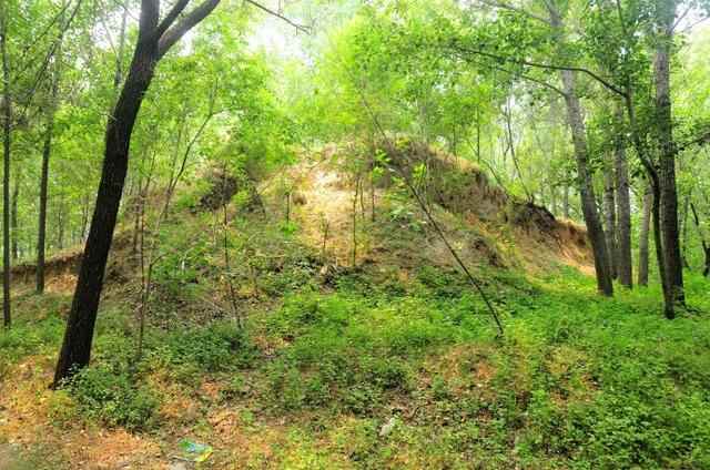 聊城市各县区地名原来是这样来的？茌山还是个假茌山？（上篇）