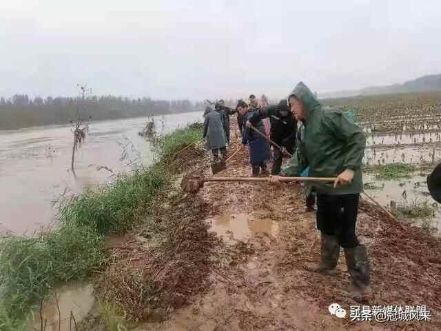 冠县党员干部带头参与防汛，确保一方平安