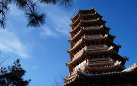 莘县大事记（八十）