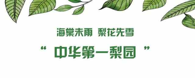 冠县，我的梦中情“陷”