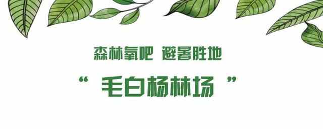 冠县，我的梦中情“陷”