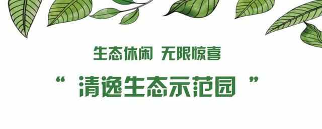冠县，我的梦中情“陷”