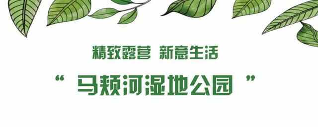 冠县，我的梦中情“陷”