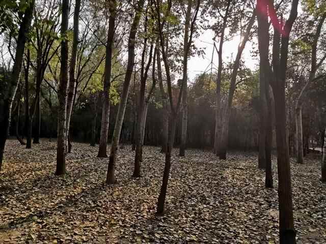 心动聊城|聊城阳谷县：专属这座城市的水浒情