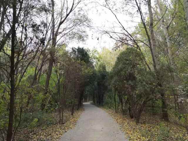 心动聊城|聊城阳谷县：专属这座城市的水浒情
