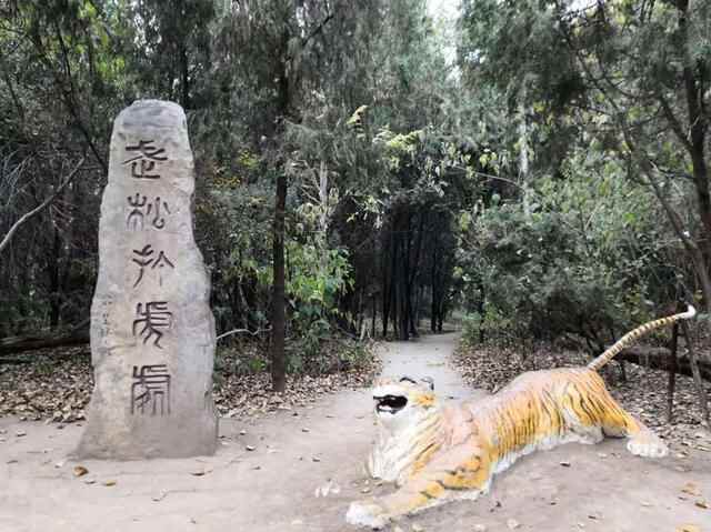 心动聊城|聊城阳谷县：专属这座城市的水浒情