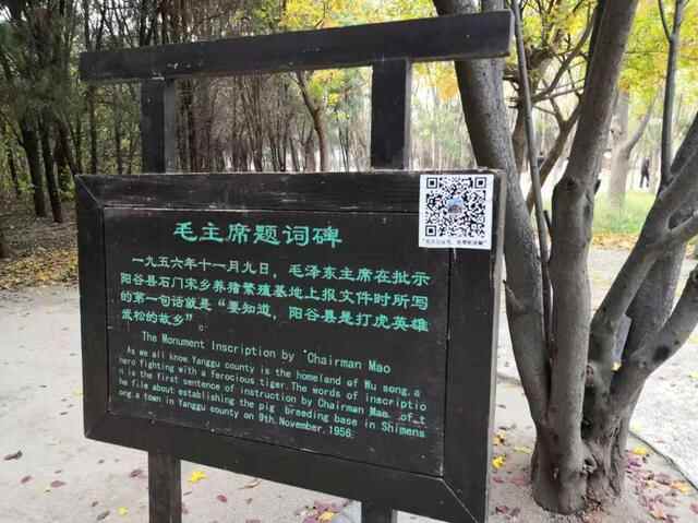 心动聊城|聊城阳谷县：专属这座城市的水浒情