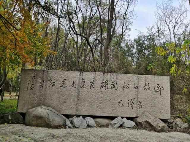 心动聊城|聊城阳谷县：专属这座城市的水浒情