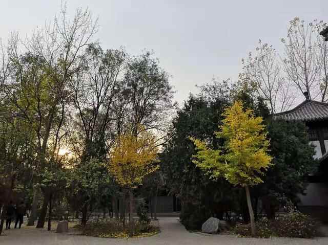 心动聊城|聊城阳谷县：专属这座城市的水浒情