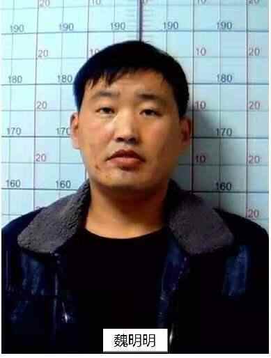 高唐公安打掉以董文涛为首涉黑恶犯罪团伙