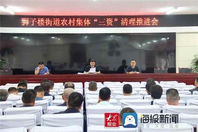 阳谷县狮子楼街道：扎实推进农村集体“三资”专项清理工作