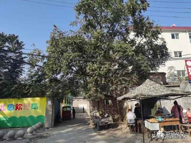 冠县乡韵·即将消失的城中村戴屯