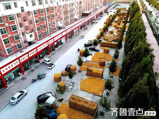 山东茌平：雨灾不减产，社区镶上黄金边