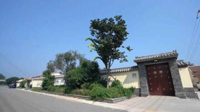山东高唐县：党建领航 扮靓乡村最美底色