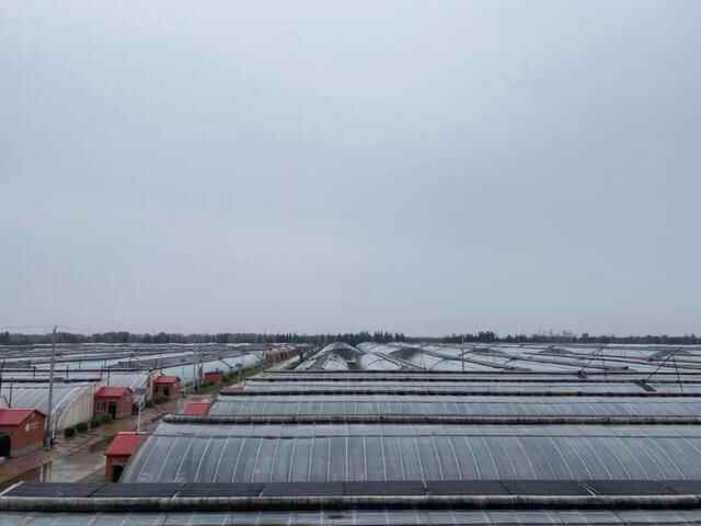 数据如何建设农业品牌，莘县和腾讯给出一种方案