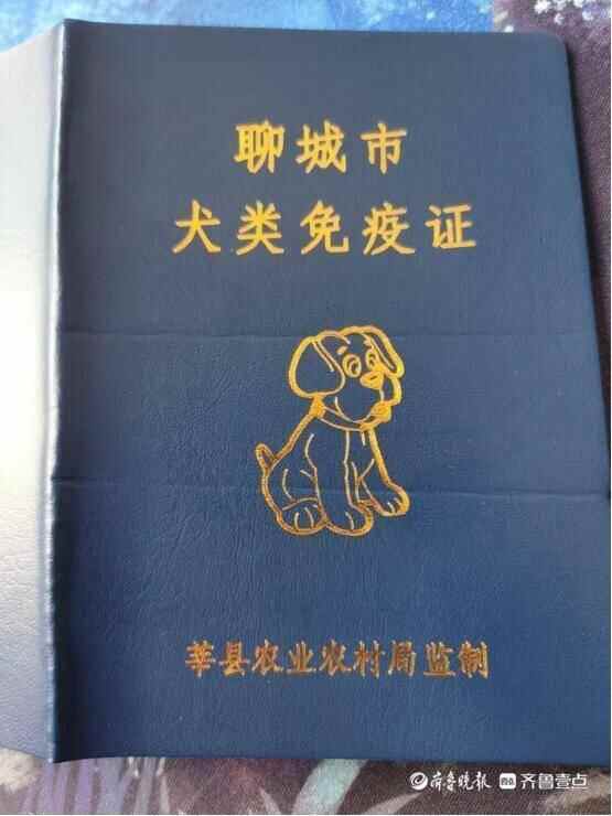 狂犬疫苗定点接种场所公布！莘县加大犬只监管力度