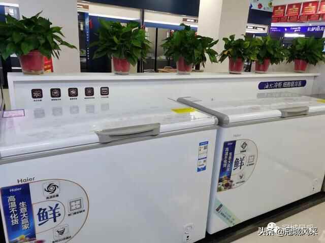 冠县探店·海尔智家体验店