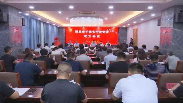 当好“领头羊”建好先锋队 聊城冠县成立电商行业党委