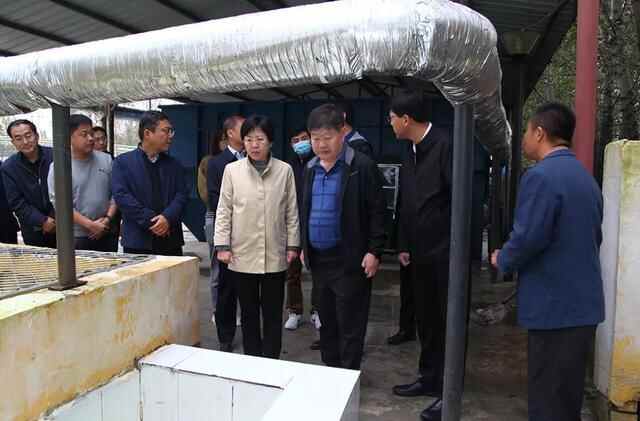 张建军来临清市调研生态环保工作
