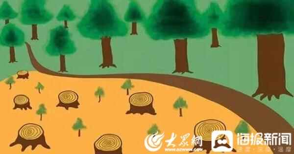 聊城临清**发布年度环境资源保护典型案例