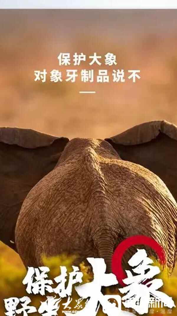 聊城临清**发布年度环境资源保护典型案例