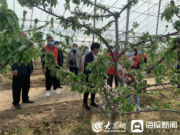 聊城茌平：杜郎口镇加强后备人才培养 助力乡村振兴